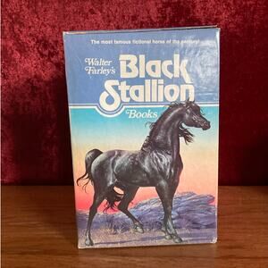 Vintage The Black Stallion Box Set | 1977 | 1970s Paperbacks
